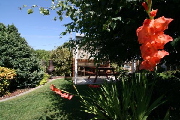 Shearwater Cottages Port Sorell Extérieur photo